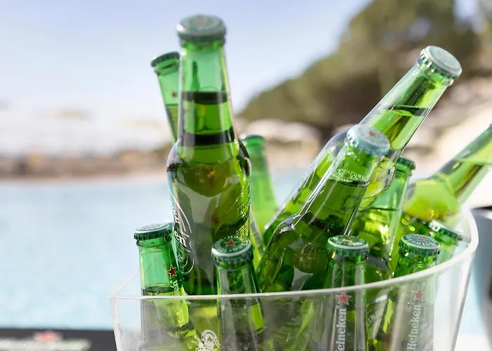 Modus Vivendi 315 2*